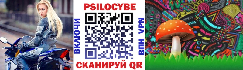 Псилоцибиновые грибы Cubensis  это клад  Лагань 